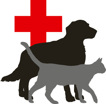 cat dog logo