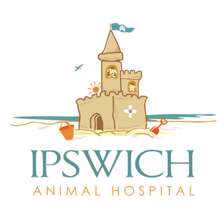 Ipswich Animal Hospital  Logo